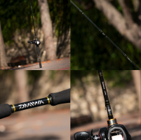 Elie POUYANNE - DIRECTED BY ELIE