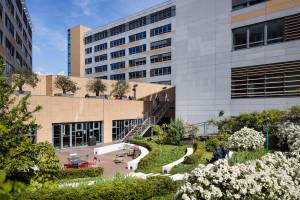 Alexandre LAOUBI - LIGHT EX MACHINA