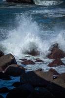 Nicolas BELLIER - BELLIER NICOLAS